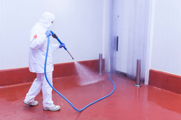 Best Playground Equipment Cleaning  in De Leon, TX